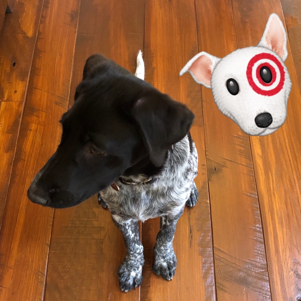 Meet your Posher, Colleen